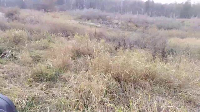 Бешаные покатушки на васходе с коляской) смотреть онлайн