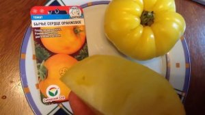 Томат "Бычье сердце оранжевое". Дегустация