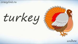 Птицы на английском. Видеотренажер от crazylink.ru