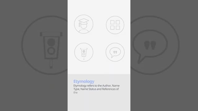 Velvet milkcap (Lactarius lignyotus) | Etymology | Scientific Short Profile | Shroomers смотреть онлайн