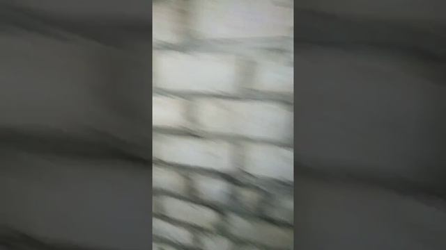 Отношения Директора Пирова.В.В. Работникам Учреждения города Невинномысск МБУ смотреть онлайн