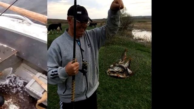 Самарафишинг.Весна 2017 г смотреть онлайн