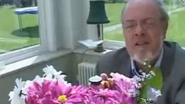 бабочки на солнечных батареях смотреть онлайн