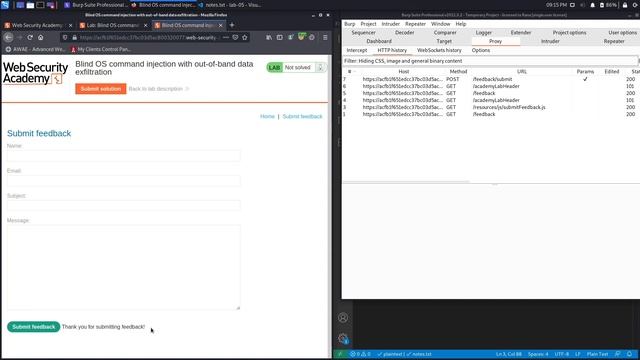 Command Injection - Lab #5 Command injection with out-of-band data exfiltration | Long Version смотреть онлайн