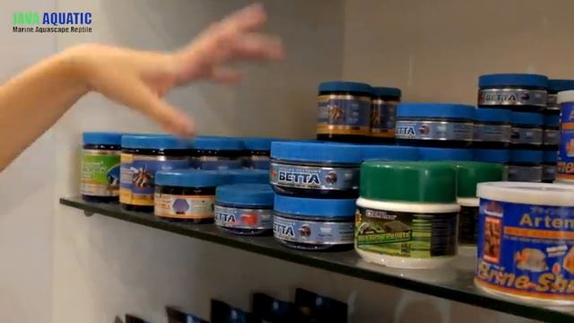 SPG BARU JAVA AQUATIC смотреть онлайн