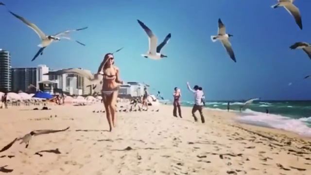 Лето это такое дело.. Гришковец смотреть онлайн