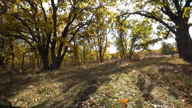 Осеннее настроение смотреть онлайн