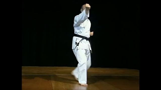 Пинан Йодан Вадо-рю каратэ Pinan Yodan Wado-ryu смотреть онлайн