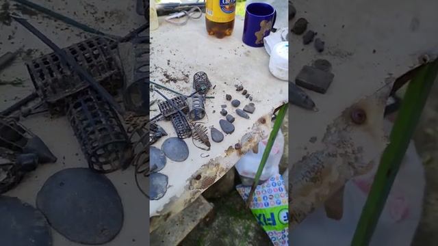 12 июня 2022 г. смотреть онлайн
