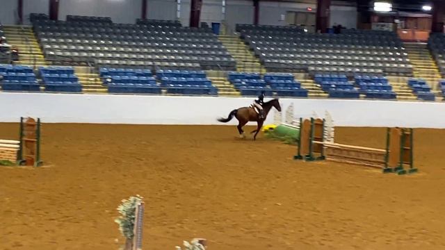 Ariana Bowman and Ketterle children's hunter смотреть онлайн
