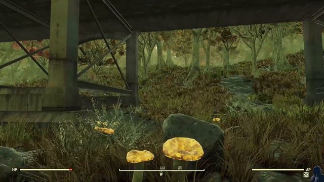 Fallout 76 Wastelanders - Mire Treasure Map #05 смотреть онлайн