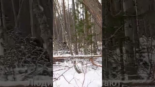 Как зарабатывают у нас в деревне