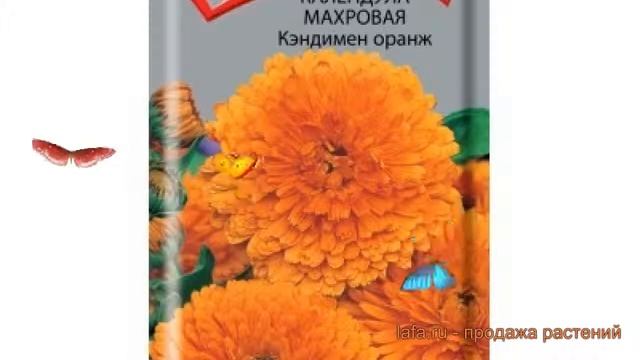 Календула махровая Кэндимен оранж ? обзор: как сажать, семена календулы Кэндимен оранж смотреть онлайн