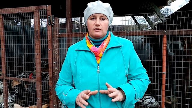 Можно ли выводить цыплят в зиму. Основные ошибки. смотреть онлайн