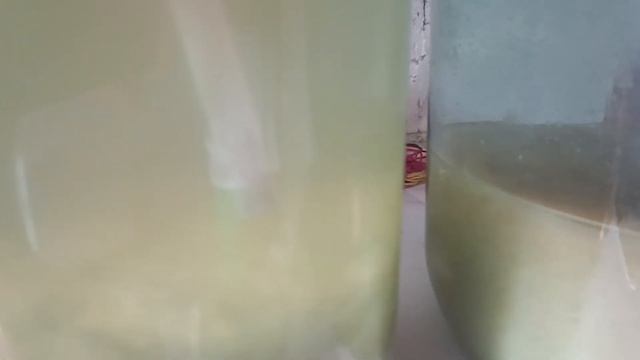 Підготовка білого матеріалу. Початок ферментації.