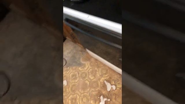 Linoleum removal #1 of 2 смотреть онлайн