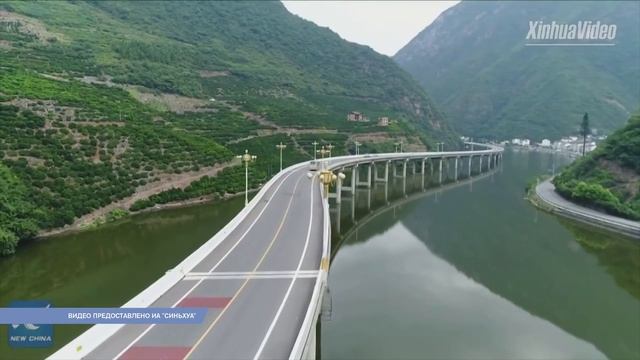 Панда-альбинос обитает в китайском заповеднике смотреть онлайн