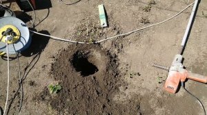 Шпалеры для малины,ежевики.