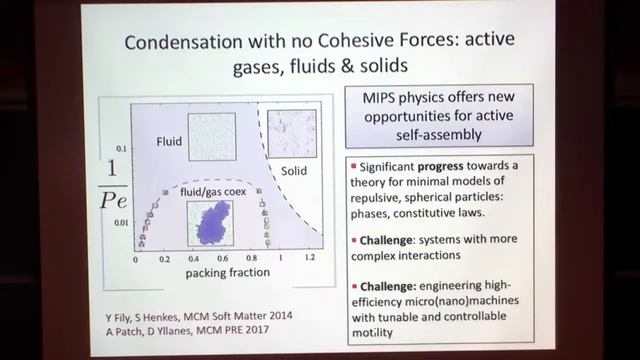 The Physics of Active Matter ▸ KITP Colloquium by Cristina Marchetti смотреть онлайн
