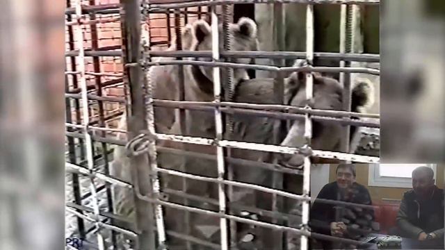 Самый первый мотобеспредел на видео – перфомансы на дорогах. Александр Рябикин. Фильм «Хобби». 2002 смотреть онлайн