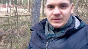 Как узнать стоимость валки (спила) аварийного сложного дерева.