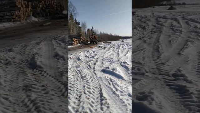 МТЗ на вывозке леса. Зима 2019, распутица смотреть онлайн