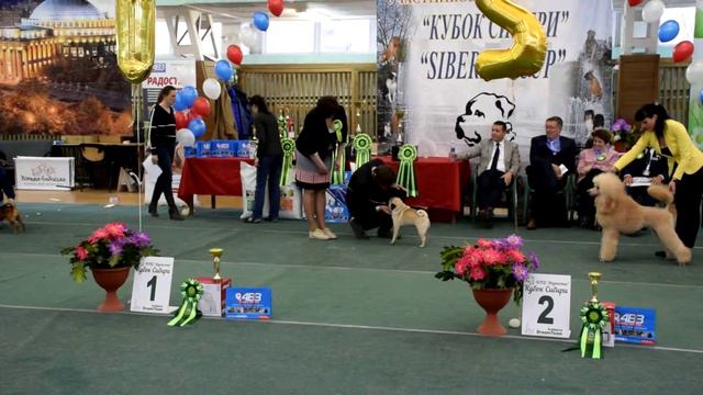 DSC 0201 смотреть онлайн