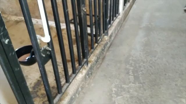 Сыроварня и ферма Олега Сироты смотреть онлайн