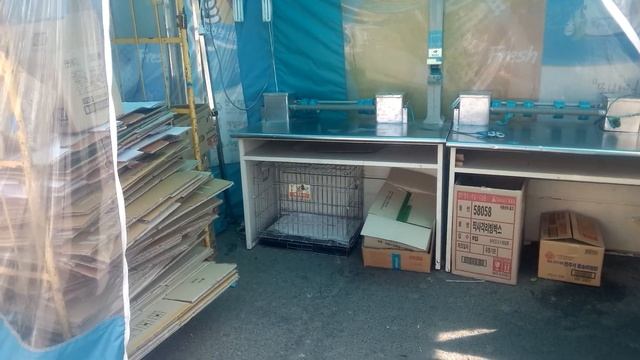 Место для собачки в Южной Корее смотреть онлайн