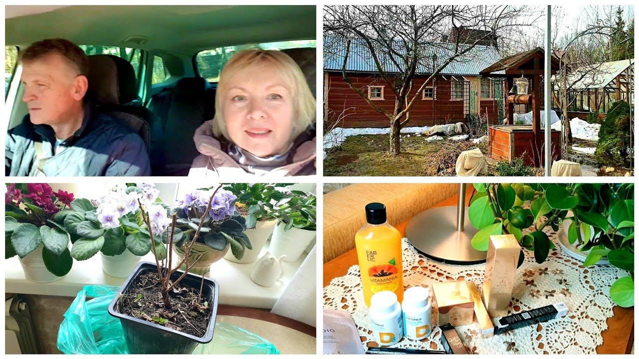 Vlog Дома и на даче. Купила гортензию розовую АНАБЕЛЬ Продукты с ярмарки Огород и теплица смотреть онлайн