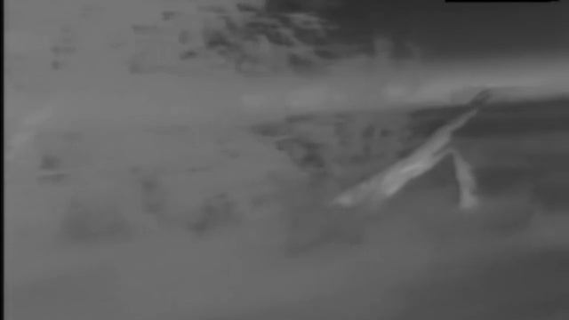 Archer TVC 1.avi смотреть онлайн