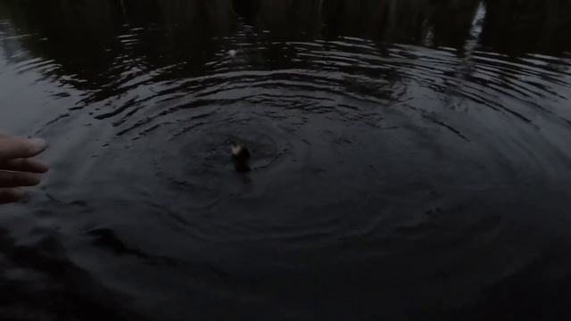 ЛУЧШАЯ МОРМЫШКА УРАЛОЧКА И ПОПЛАВОК ЛОВЯТ ВСЮ РЫБУ! ЯЗЬ НЕ ДАВАЛ СКУЧАТЬ, КЛЁВАЯ РЫБАЛКА В ХМАО! смотреть онлайн