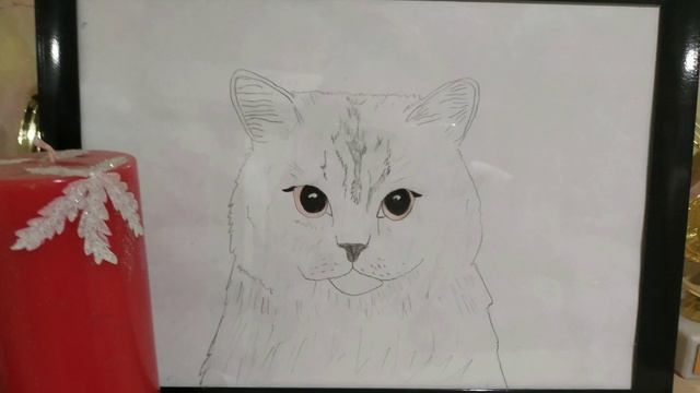 Нарисовала милого котика?? смотреть онлайн