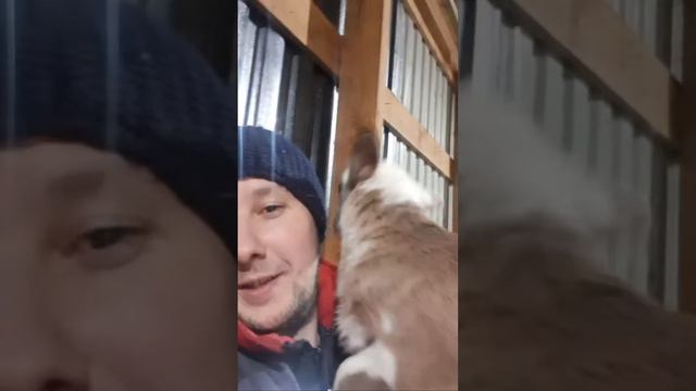 ПОТЕРИ В ХОЗЯЙСТВЕ ! РАЗБИРАЕМ! смотреть онлайн