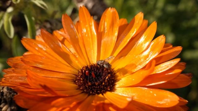 samsung nx300 _ 30mm f2.0 смотреть онлайн