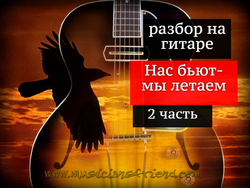 Нас бьют-мы летаем. Разбор на гитаре 2 часть #урокигитары #разборпесен #гитара #guitar #guitarlesson смотреть онлайн