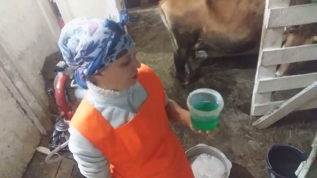 ФУТБОЛ!!! а Я в коровнике((( смотреть онлайн