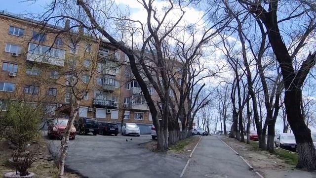 Проспект Столетия Владивостока. Станция Моргородок. Vladivostok. walk ?♀️ул. Овчинникова . смотреть онлайн
