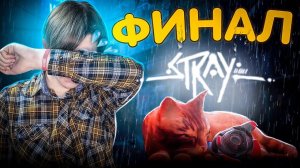 КОТИК НАШЁЛ ВЫХОД, но вот...