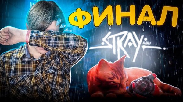 КОТИК НАШЁЛ ВЫХОД, но вот...