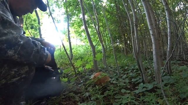 [17] Грибы в мае, лезу в шахту, готовка грибов смотреть онлайн