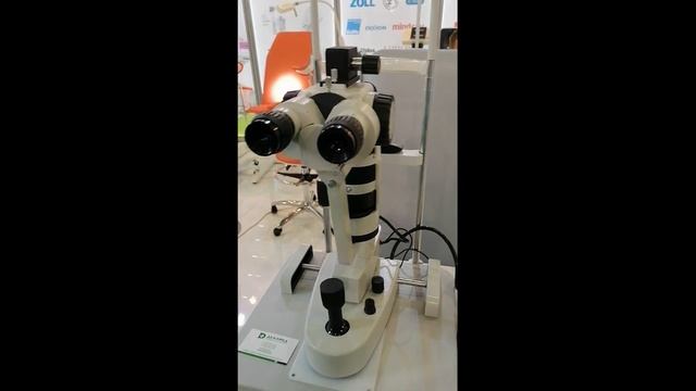 Выставка 2019