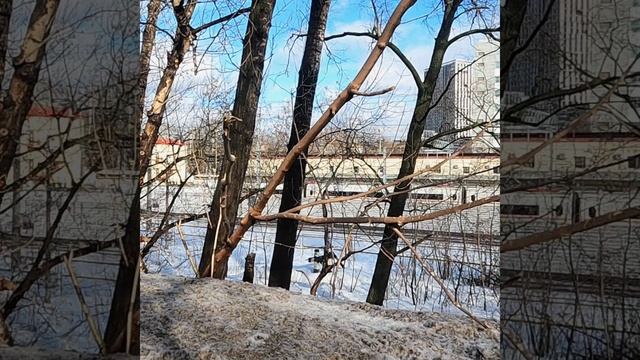 Найди Сапсан ? смотреть онлайн