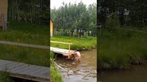 Купание после бани.)))