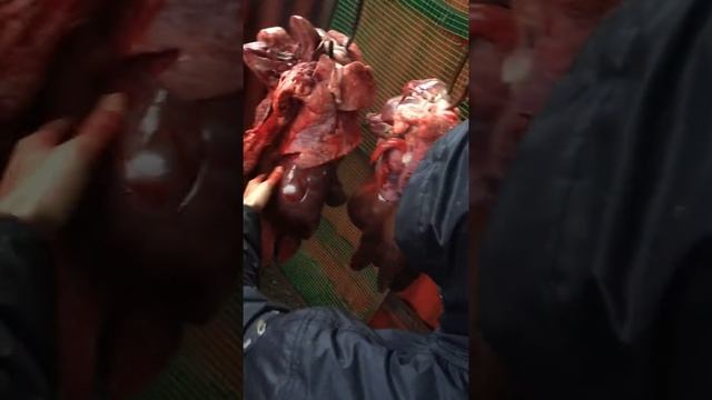 как разделать свинью за 6 минут смотреть онлайн