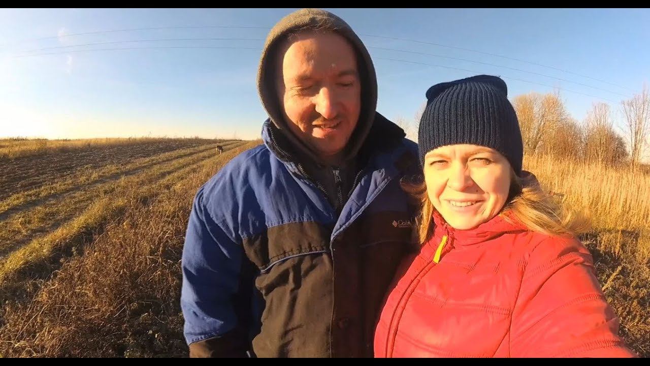 Всё замерзло//Не успели до морозов//Едут новые сорта//Ивановский текстиль смотреть онлайн