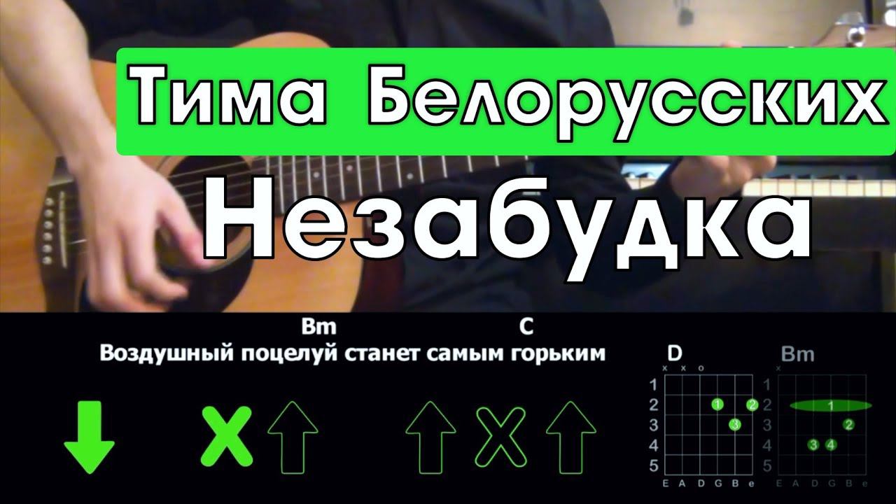 Тима Белорусских - Незабудка \ Разбор песни на гитаре \ Аккорды и бой смотреть онлайн