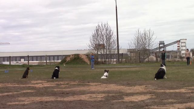 Выдержка ОБД 1 06.05.17 псков. смотреть онлайн