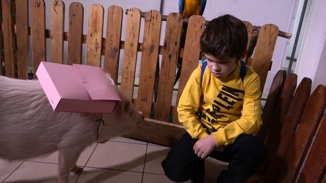 Зоопарк Дворик играет в игру Амонг Ас (Among As).Тайная жизнь животных 