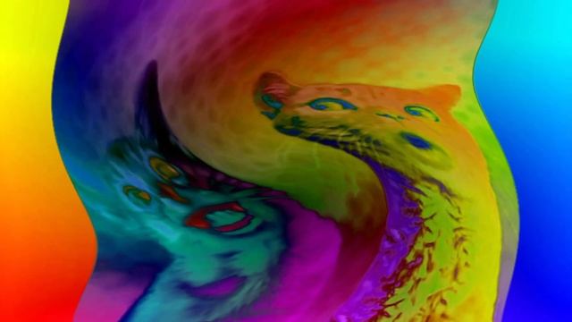 Preview 2 Numa cat effects (sponsored by preview 2 effects) in doesn't respond смотреть онлайн
